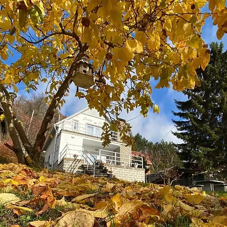 Dombay House *